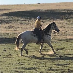 Meet your Posher, Bailey